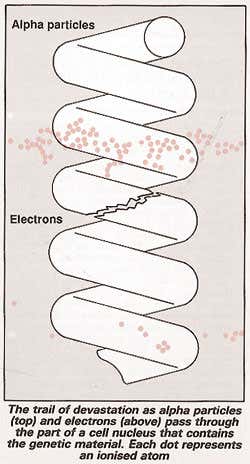 Alpha particles and electrons