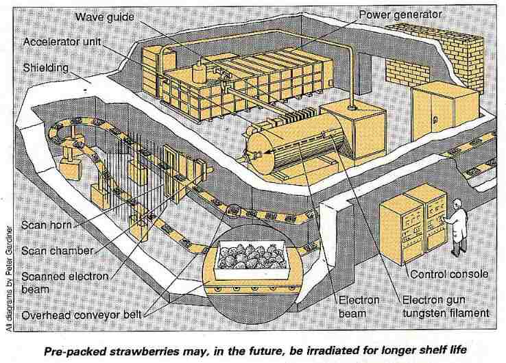 New Scientist. Science news and long reads from expert journalists, covering developments in science, technology, health and the environment on the website and the magazine.