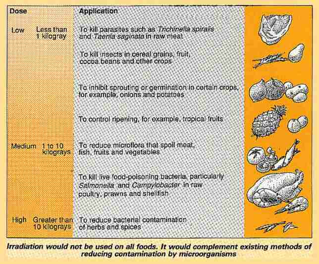 Irradiation and different foods