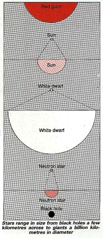 Sizes of different stars
