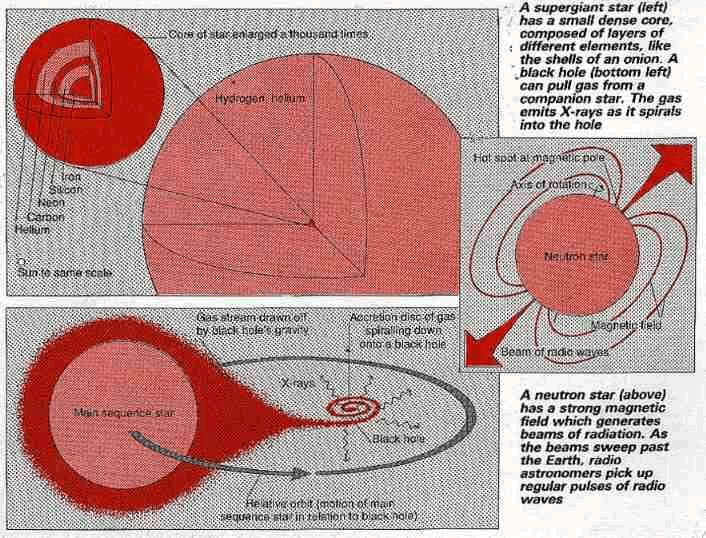 Supergiants and neutron stars