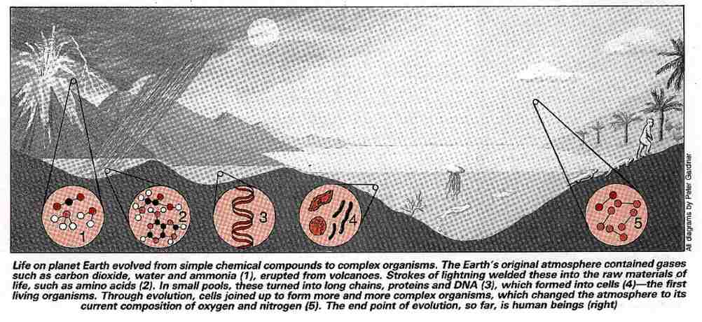 New Scientist. Science news and long reads from expert journalists, covering developments in science, technology, health and the environment on the website and the magazine.