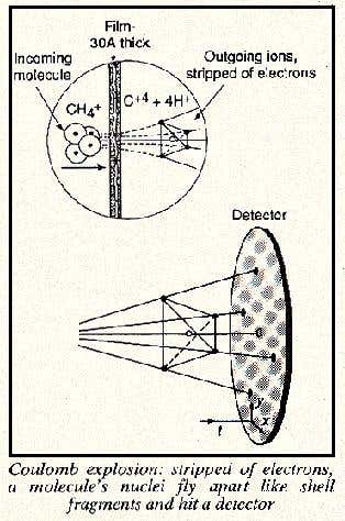 New Scientist. Science news and long reads from expert journalists, covering developments in science, technology, health and the environment on the website and the magazine.