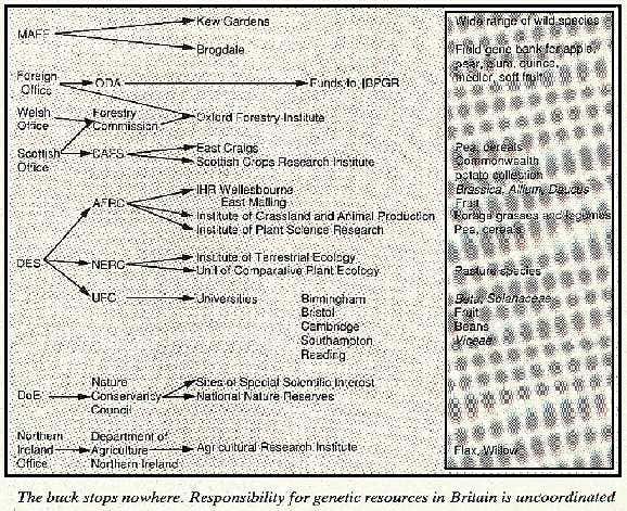New Scientist. Science news and long reads from expert journalists, covering developments in science, technology, health and the environment on the website and the magazine.