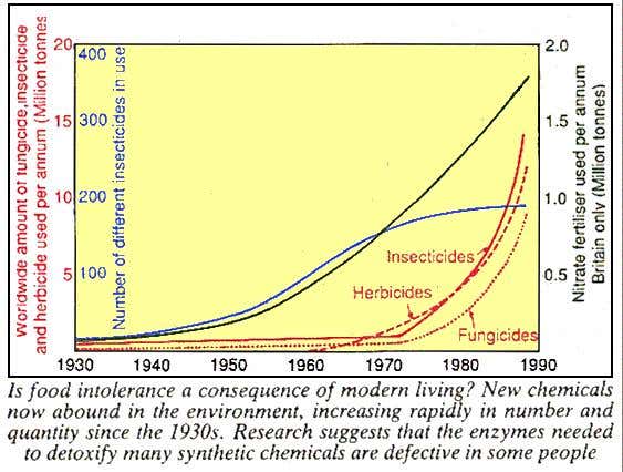 Food intolerance and modern living