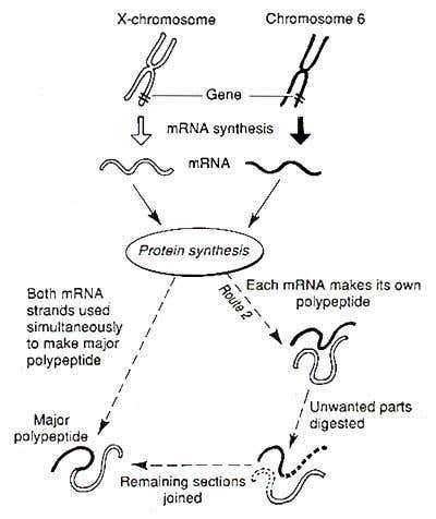 New Scientist. Science news and long reads from expert journalists, covering developments in science, technology, health and the environment on the website and the magazine.