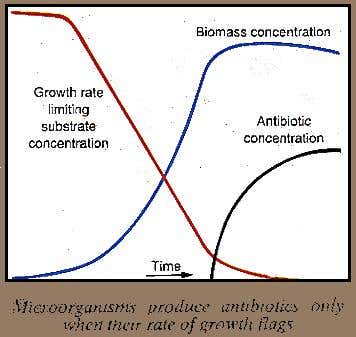 Microorganisus and antibiotics