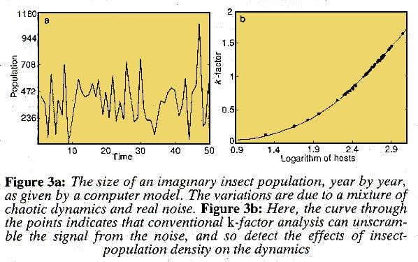 An imaginary insect population