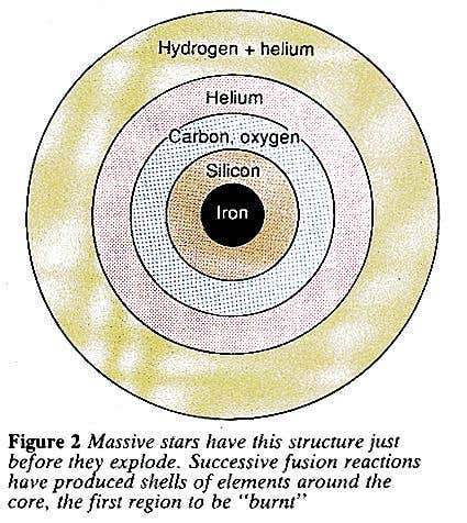 New Scientist. Science news and long reads from expert journalists, covering developments in science, technology, health and the environment on the website and the magazine.