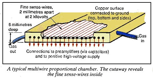 New Scientist. Science news and long reads from expert journalists, covering developments in science, technology, health and the environment on the website and the magazine.