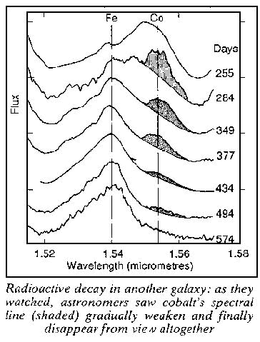 New Scientist. Science news and long reads from expert journalists, covering developments in science, technology, health and the environment on the website and the magazine.