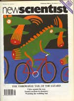 New Scientist issue 1702 cover