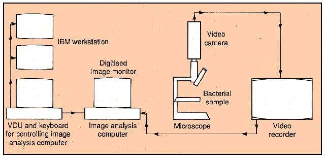 Tracking Rhodospirillum