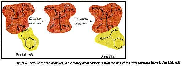 Conversion of penicillin to compicillin