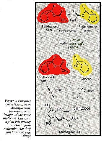 The selective native of enzymes