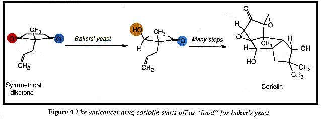 Structure of anticancer drug coriolin