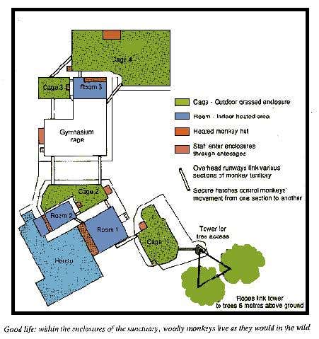 New Scientist. Science news and long reads from expert journalists, covering developments in science, technology, health and the environment on the website and the magazine.