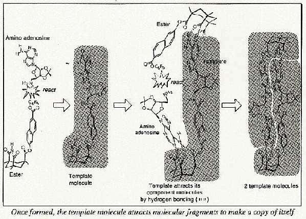 New Scientist. Science news and long reads from expert journalists, covering developments in science, technology, health and the environment on the website and the magazine.