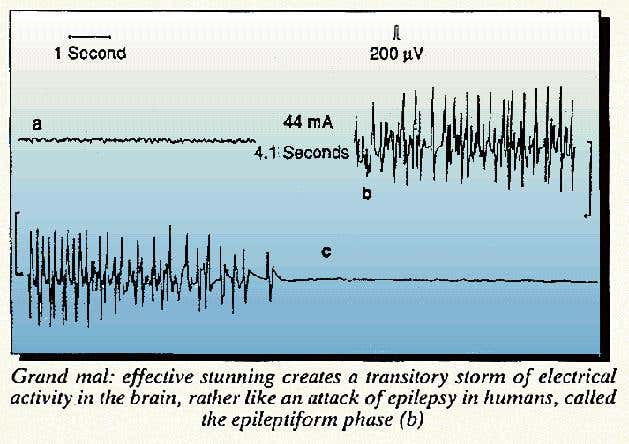 New Scientist. Science news and long reads from expert journalists, covering developments in science, technology, health and the environment on the website and the magazine.