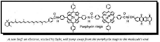 New Scientist. Science news and long reads from expert journalists, covering developments in science, technology, health and the environment on the website and the magazine.