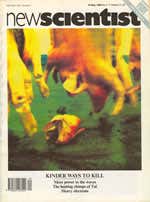 New Scientist issue 1717 cover