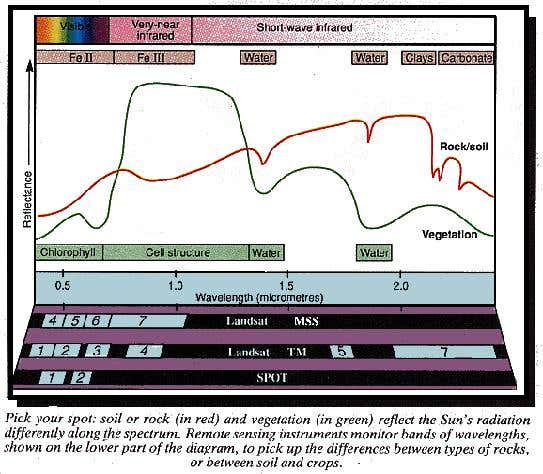 New Scientist. Science news and long reads from expert journalists, covering developments in science, technology, health and the environment on the website and the magazine.