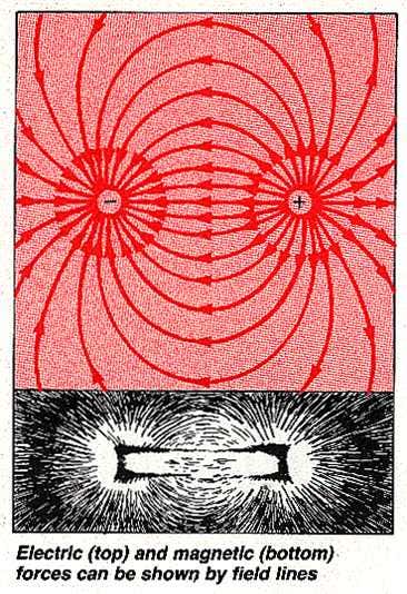 Electronic and magnetic field lines