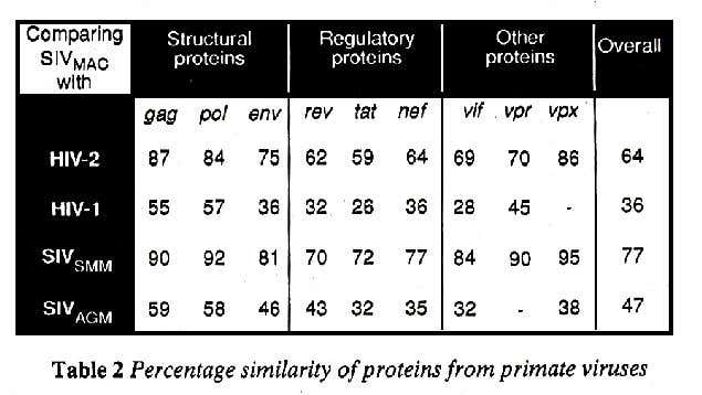 Percentage similarity of primate viruses