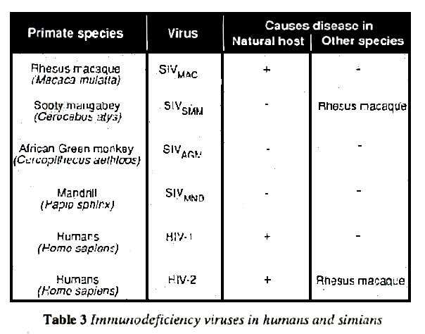 Human and simian AIDS viruses