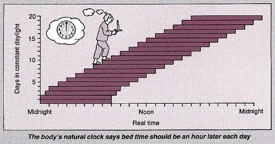 Natural clock and bed times