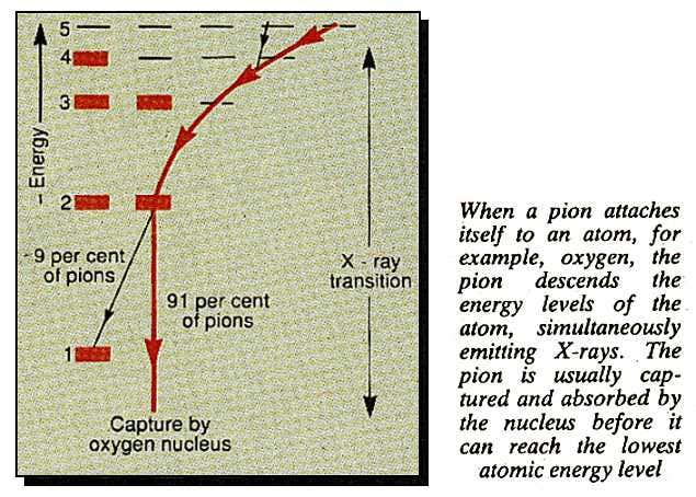 Effect of pion on an oxygen atom