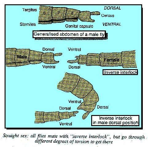 New Scientist. Science news and long reads from expert journalists, covering developments in science, technology, health and the environment on the website and the magazine.