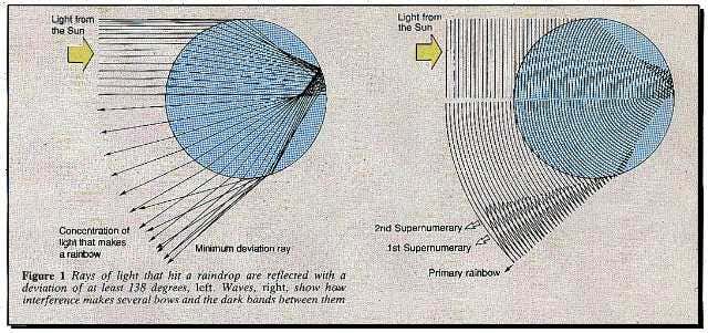 New Scientist. Science news and long reads from expert journalists, covering developments in science, technology, health and the environment on the website and the magazine.