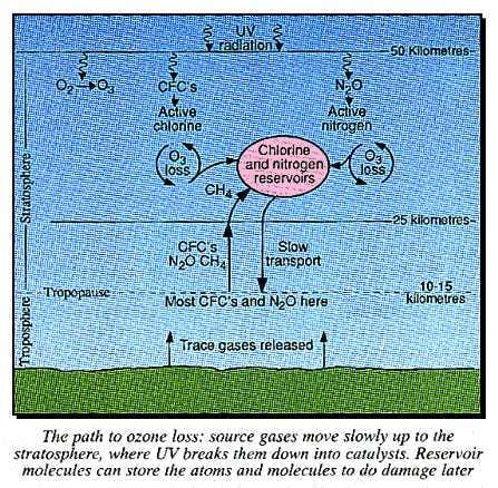 New Scientist. Science news and long reads from expert journalists, covering developments in science, technology, health and the environment on the website and the magazine.