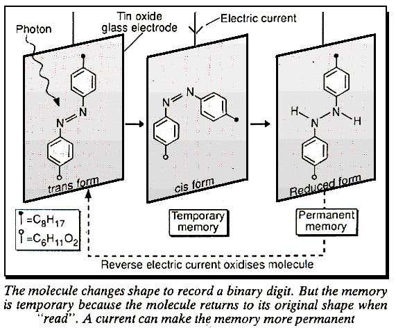 New Scientist. Science news and long reads from expert journalists, covering developments in science, technology, health and the environment on the website and the magazine.