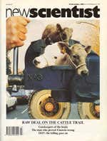 New Scientist issue 1744 cover