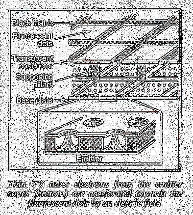 New Scientist. Science news and long reads from expert journalists, covering developments in science, technology, health and the environment on the website and the magazine.