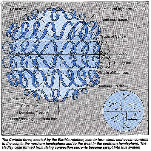 The Coriolis force