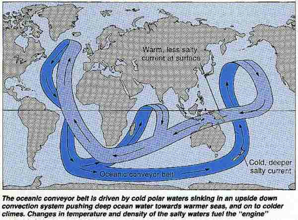 The oceanic conveyor belt