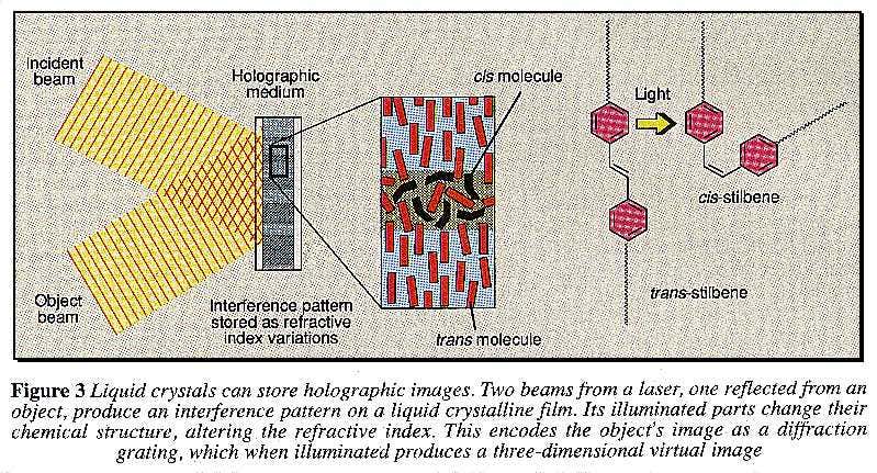New Scientist. Science news and long reads from expert journalists, covering developments in science, technology, health and the environment on the website and the magazine.