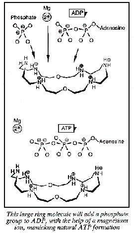 New Scientist. Science news and long reads from expert journalists, covering developments in science, technology, health and the environment on the website and the magazine.