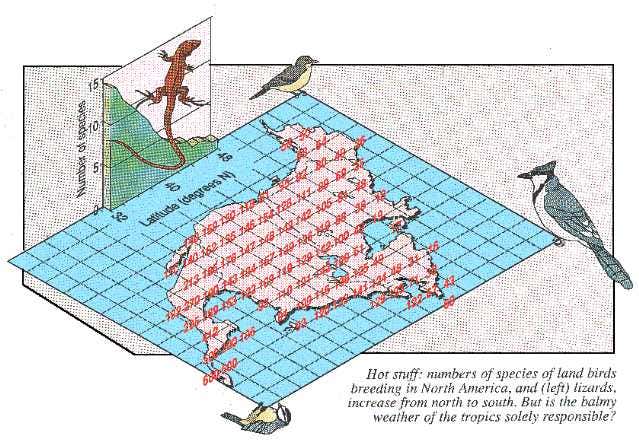 New Scientist. Science news and long reads from expert journalists, covering developments in science, technology, health and the environment on the website and the magazine.