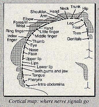New Scientist. Science news and long reads from expert journalists, covering developments in science, technology, health and the environment on the website and the magazine.