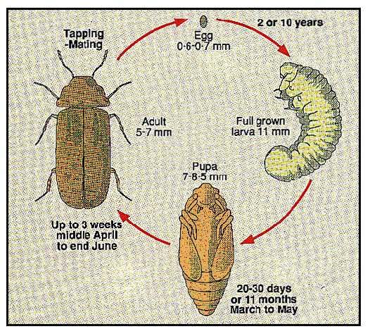New Scientist. Science news and long reads from expert journalists, covering developments in science, technology, health and the environment on the website and the magazine.