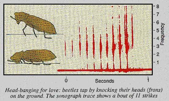 New Scientist. Science news and long reads from expert journalists, covering developments in science, technology, health and the environment on the website and the magazine.