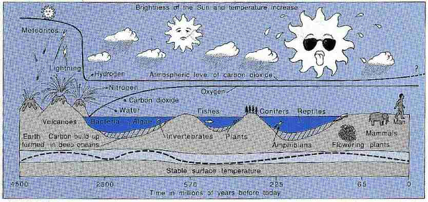 New Scientist. Science news and long reads from expert journalists, covering developments in science, technology, health and the environment on the website and the magazine.