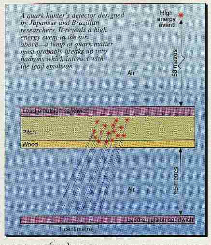 New Scientist. Science news and long reads from expert journalists, covering developments in science, technology, health and the environment on the website and the magazine.