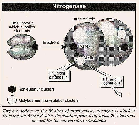 New Scientist. Science news and long reads from expert journalists, covering developments in science, technology, health and the environment on the website and the magazine.