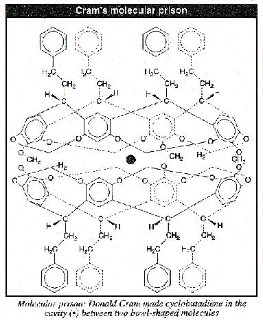 Cram's molecular prison for Cyclobutadiene