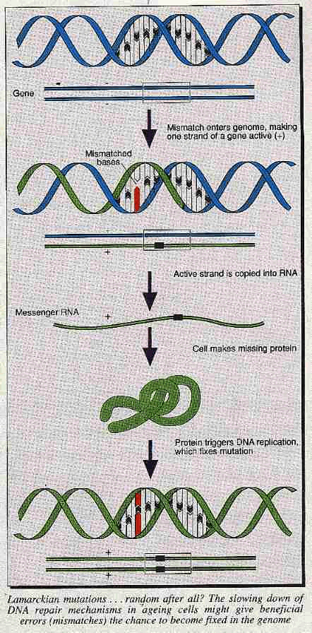 New Scientist. Science news and long reads from expert journalists, covering developments in science, technology, health and the environment on the website and the magazine.